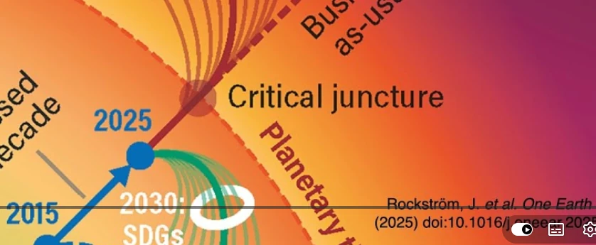 Screenshot aus dem im Text erwähnten Seminar von James Dyke mit einer Grafik aus dem besprochenen Text