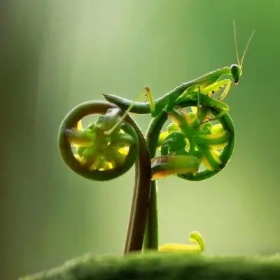AntififaCyclista😀